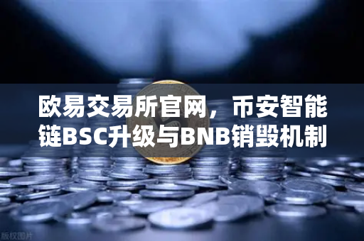 欧易交易所官网，币安智能链BSC升级与BNB销毁机制如何引爆价格暴涨浪潮