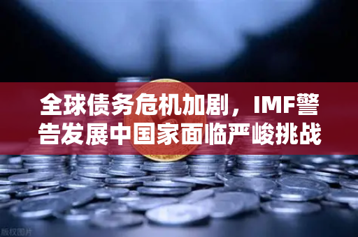 全球债务危机加剧，IMF警告发展中国家面临严峻挑战