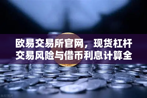 欧易交易所官网，现货杠杆交易风险与借币利息计算全解析