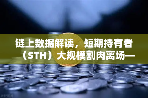 链上数据解读，短期持有者（STH）大规模割肉离场—市场触底信号已现？
