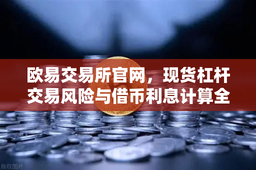 欧易交易所官网，现货杠杆交易风险与借币利息计算全解析