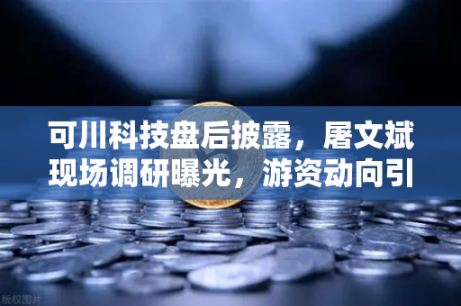 可川科技盘后披露，屠文斌现场调研曝光，游资动向引欧易交易所用户热议
