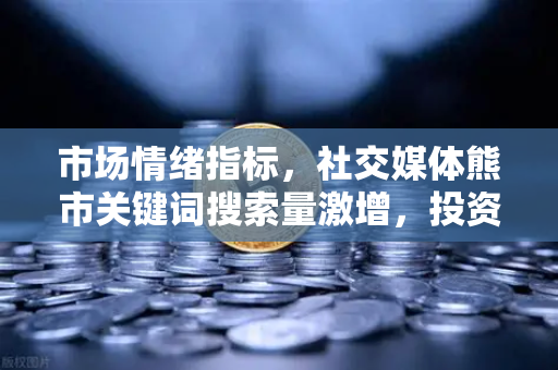 市场情绪指标，社交媒体熊市关键词搜索量激增，投资者何去何从？