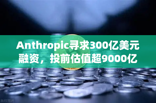 Anthropic寻求300亿美元融资，投前估值超9000亿，AI泡沫还是新起点？