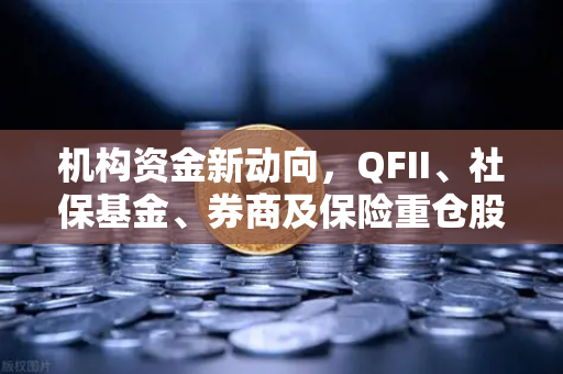 机构资金新动向，QFII、社保基金、券商及保险重仓股曝光，多家涉币概念股浮出水面