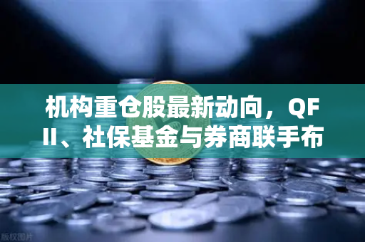机构重仓股最新动向，QFII、社保基金与券商联手布局，多家涉币概念股浮出水面