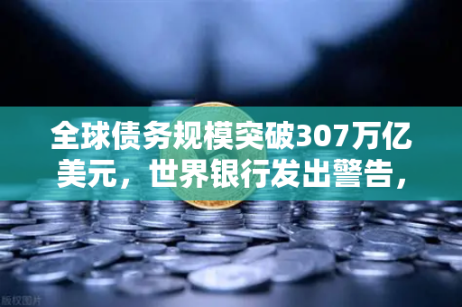 全球债务规模突破307万亿美元，世界银行发出警告，欧易交易所官网解读金融风险与投资策略