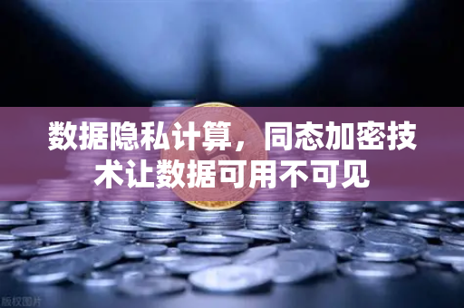 数据隐私计算，同态加密技术让数据可用不可见