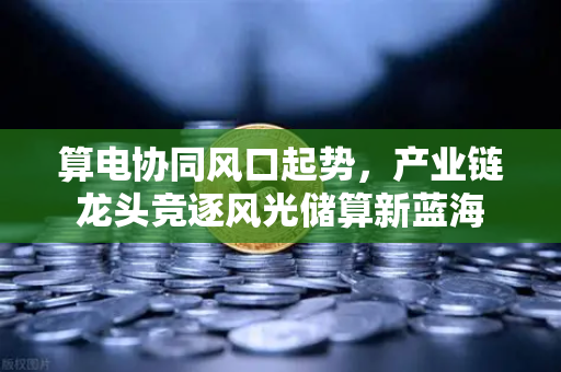 算电协同风口起势，产业链龙头竞逐风光储算新蓝海