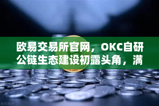 欧易交易所官网，OKC自研公链生态建设初露头角，满足用户多种加密数字资产业务需求