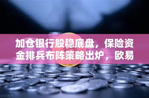 加仓银行股稳底盘，保险资金排兵布阵策略出炉，欧易交易所官网深度解析
