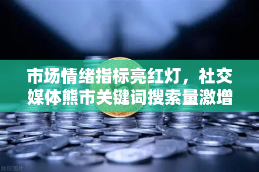 市场情绪指标亮红灯，社交媒体熊市关键词搜索量激增，投资者如何应对？