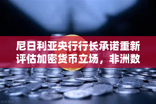 尼日利亚央行行长承诺重新评估加密货币立场，非洲数字货币格局或将重塑