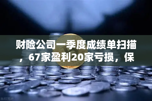 财险公司一季度成绩单扫描，67家盈利20家亏损，保险资金入市偏好引关注