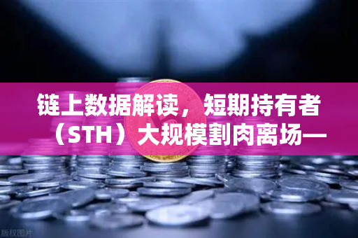 链上数据解读，短期持有者（STH）大规模割肉离场—市场底部信号已现？