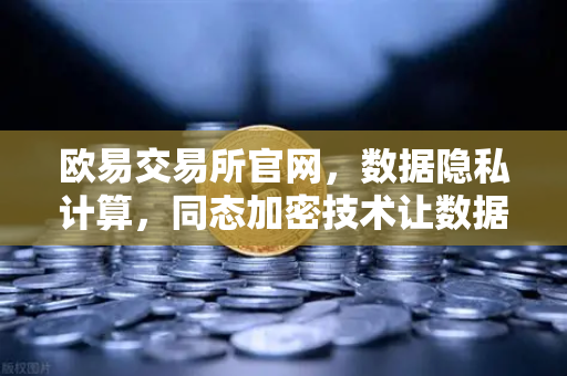 欧易交易所官网，数据隐私计算，同态加密技术让数据可用不可见