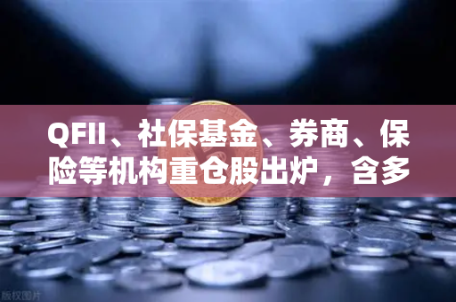 QFII、社保基金、券商、保险等机构重仓股出炉，含多家涉币概念股引资本市场关注-第1张图片-欧易交易所