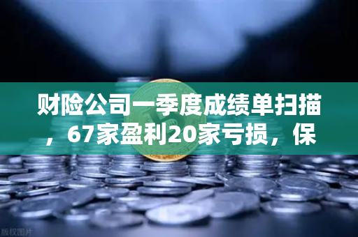 财险公司一季度成绩单扫描，67家盈利20家亏损，保险资金入市偏好揭秘