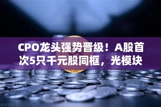 CPO龙头强势晋级！A股首次5只千元股同框，光模块与区块链数据传输的技术共振