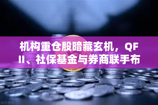 机构重仓股暗藏玄机，QFII、社保基金与券商联手布局涉币概念股