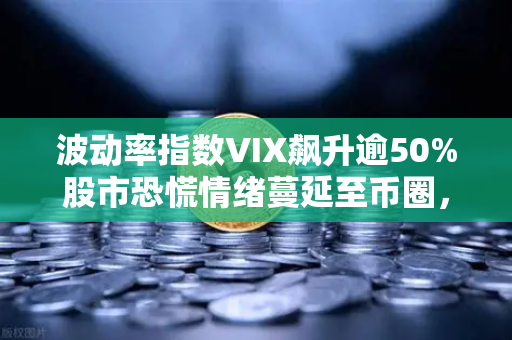 波动率指数VIX飙升逾50%股市恐慌情绪蔓延至币圈，投资者应如何应对？