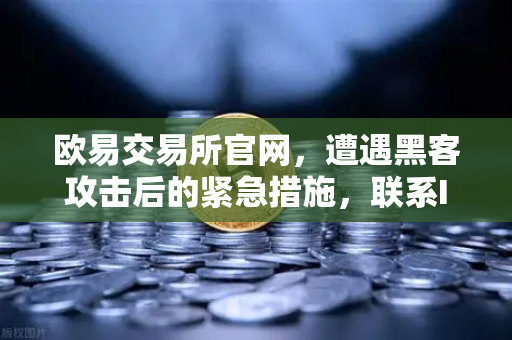 欧易交易所官网，遭遇黑客攻击后的紧急措施，联系Immunefi寻求白帽帮助