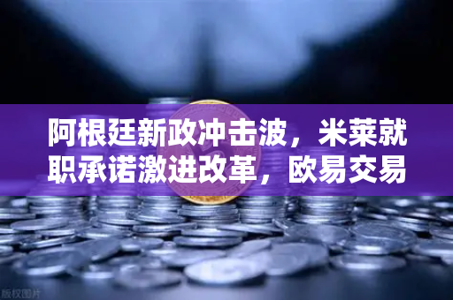 阿根廷新政冲击波，米莱就职承诺激进改革，欧易交易所官网解读经济变局