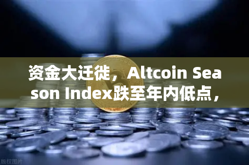 资金大迁徙，Altcoin Season Index跌至年内低点，比特币成唯一避风港