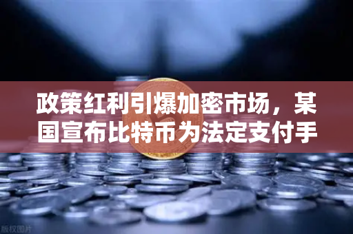 政策红利引爆加密市场，某国宣布比特币为法定支付手段并实行税收全免