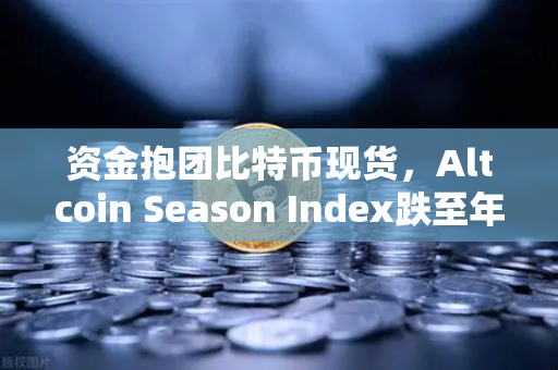 资金抱团比特币现货，Altcoin Season Index跌至年内低点—投资者该如何应对？