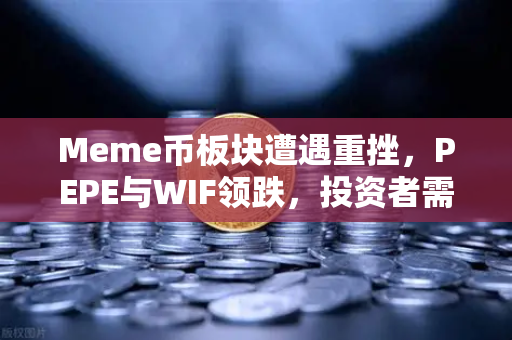 Meme币板块遭遇重挫，PEPE与WIF领跌，投资者需警惕市场风险