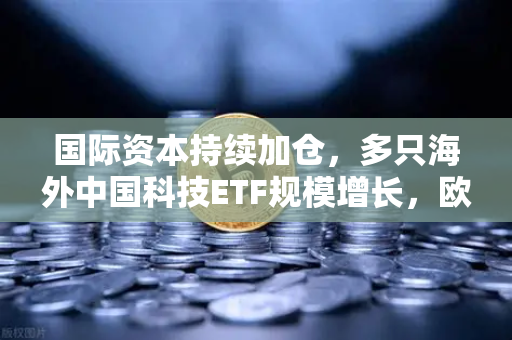 国际资本持续加仓，多只海外中国科技ETF规模增长，欧易交易所官网助推数字经济新浪潮
