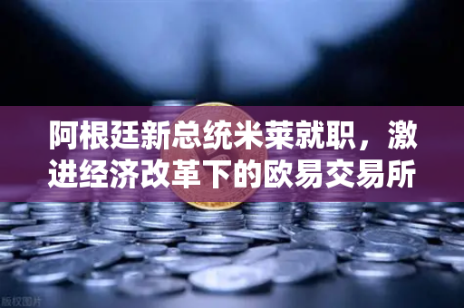 阿根廷新总统米莱就职，激进经济改革下的欧易交易所新机遇