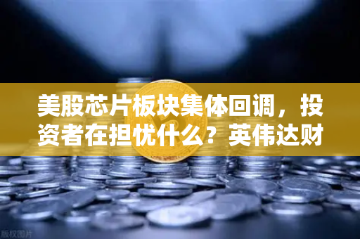 美股芯片板块集体回调，投资者在担忧什么？英伟达财报定方向