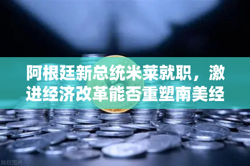 阿根廷新总统米莱就职，激进经济改革能否重塑南美经济格局？
