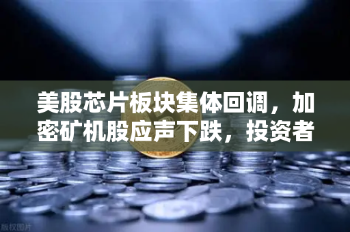 美股芯片板块集体回调，加密矿机股应声下跌，投资者在担心什么？