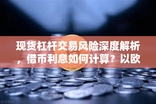 现货杠杆交易风险深度解析，借币利息如何计算？以欧易交易所官网为例