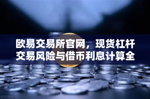 欧易交易所官网，现货杠杆交易风险与借币利息计算全解析