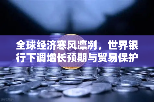 全球经济寒风凛冽，世界银行下调增长预期与贸易保护主义抬头下的投资新思考