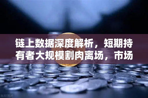 链上数据深度解析，短期持有者大规模割肉离场，市场底部信号是否已现？