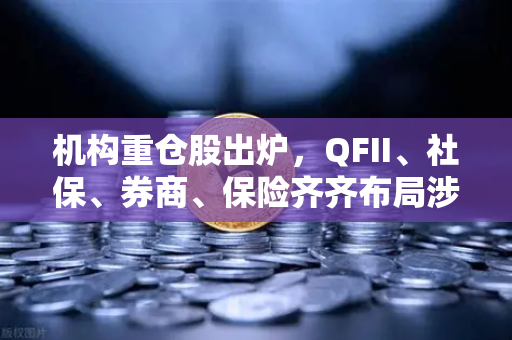 机构重仓股出炉，QFII、社保、券商、保险齐齐布局涉币概念股，市场风向已变？