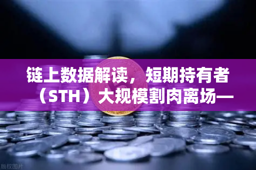 链上数据解读，短期持有者（STH）大规模割肉离场—对欧易交易所用户的启示