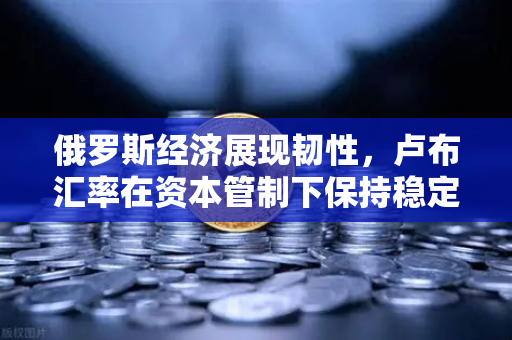 俄罗斯经济展现韧性，卢布汇率在资本管制下保持稳定，欧易交易所官网深度解析