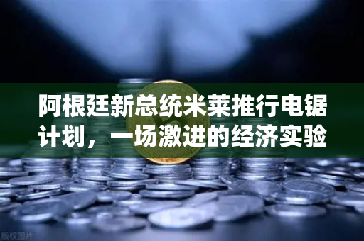 阿根廷新总统米莱推行电锯计划，一场激进的经济实验与全球市场的连锁反应