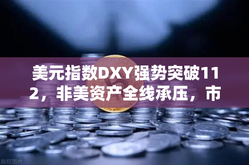 美元指数DXY强势突破112，非美资产全线承压，市场格局重塑与投资策略调整