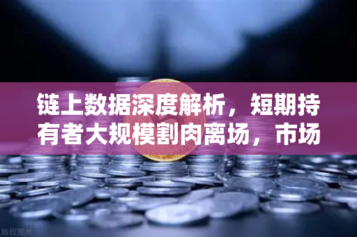 链上数据深度解析，短期持有者大规模割肉离场，市场见底信号已现？