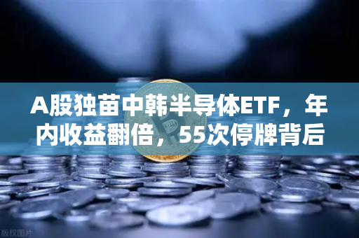 A股独苗中韩半导体ETF，年内收益翻倍，55次停牌背后是机会还是陷阱？