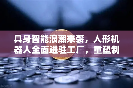 具身智能浪潮来袭，人形机器人全面进驻工厂，重塑制造业新格局