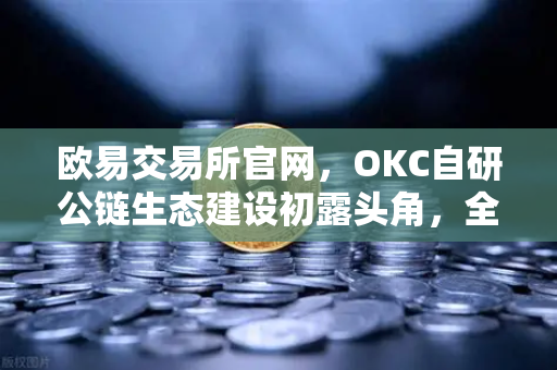 欧易交易所官网，OKC自研公链生态建设初露头角，全面满足用户多元加密数字资产业务需求