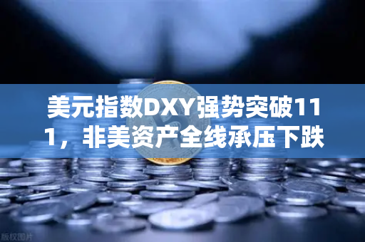 美元指数DXY强势突破111，非美资产全线承压下跌，全球金融市场风暴下的投资策略解析